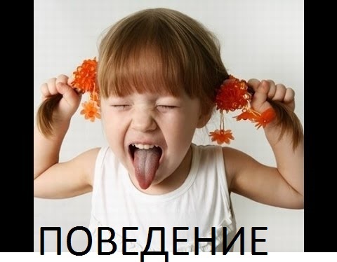 Прежде чем корректировать поведение, нужно исключить медицинские проблемы